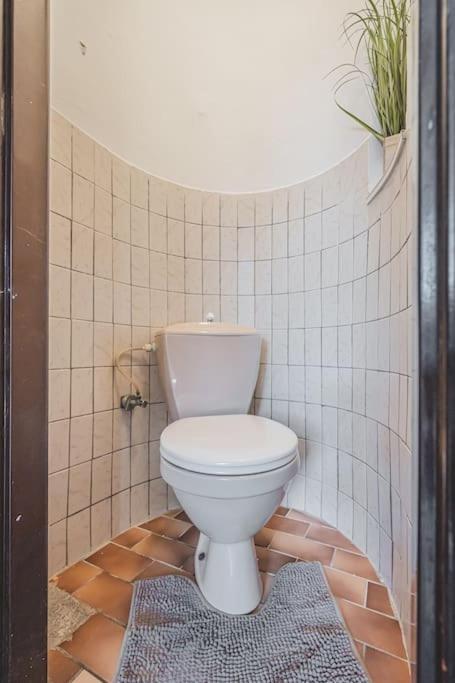Carolina'S Romantic Apartment Hradec Králové エクステリア 写真