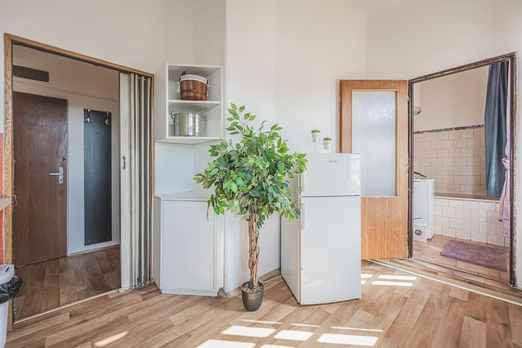 Carolina'S Romantic Apartment Hradec Králové エクステリア 写真