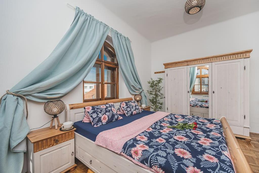 Carolina'S Romantic Apartment Hradec Králové エクステリア 写真